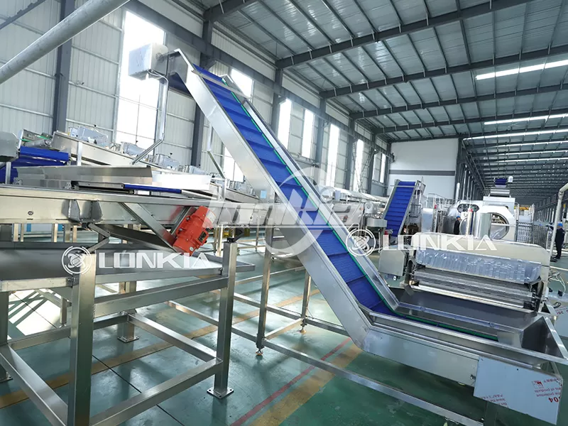 French Fries Production Line factory