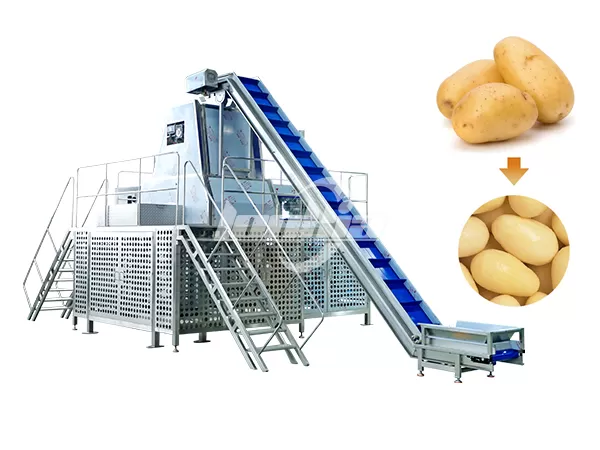 Advanced Steam Peeler Machine at Best Price