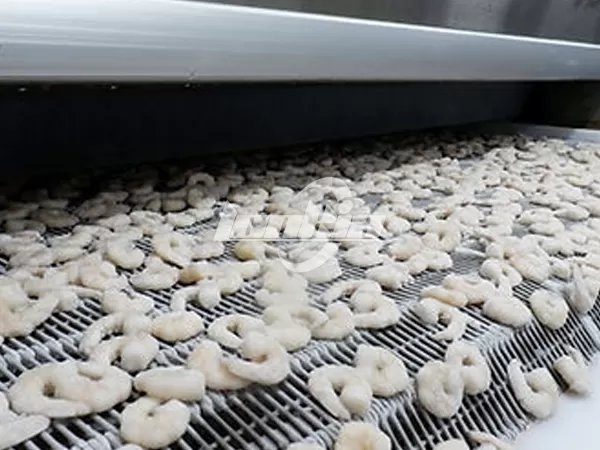 IQF Spiral Freezer