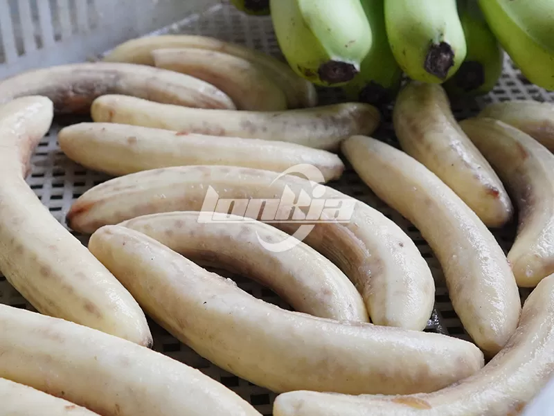 Plantain Fryer: How Different Raw Material Types Affect Frying Results？