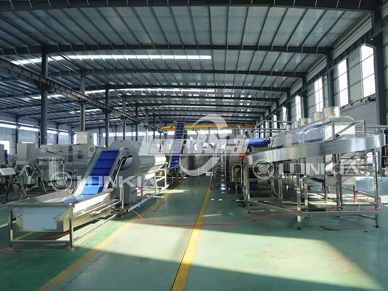 What Is the Production Capacity of a French Fries Processing Line?