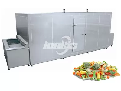 Frozen Vegetable Processing Plant