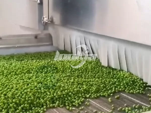 High Efficiency Fluidized Bed Freezer for Food Processing