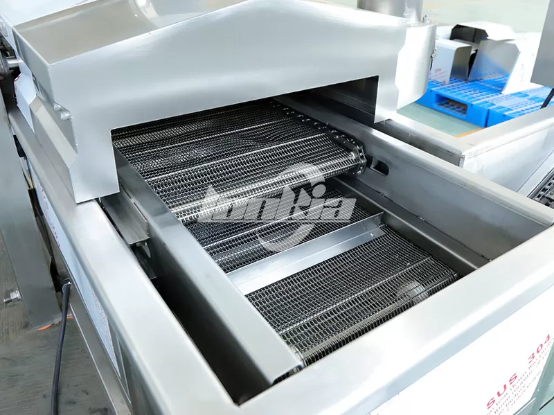 continuous fryer details