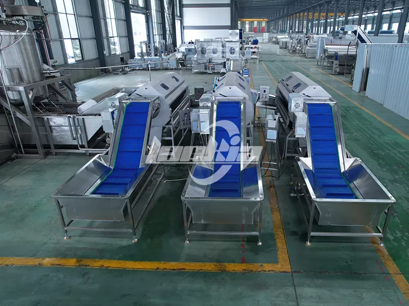 vegetable washer and peeler machine