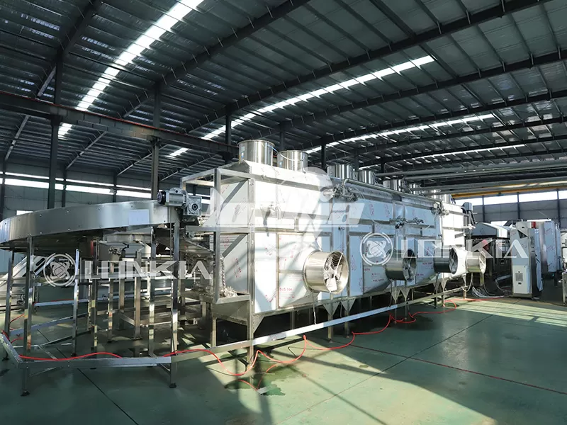 French Fries Processing Plant Space Requirements: How to Fit into Your Facility?