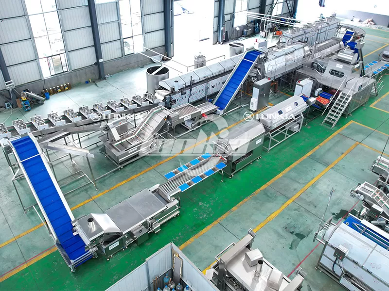 How Many Workers Are Needed for an Automatic French Fry Maker Plant?