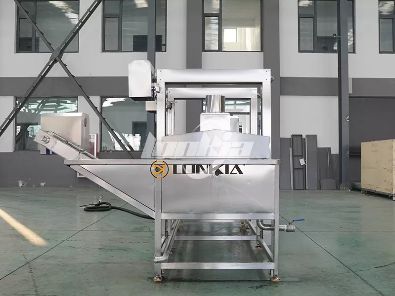 Banana Chips Fryer Buying Guide: 10 Questions Every Buyer Should Ask