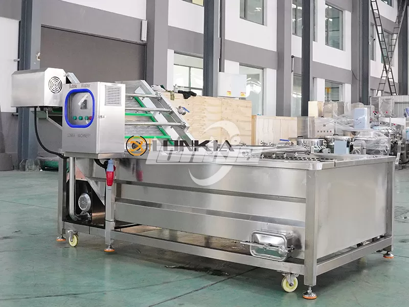 Bubble Washer: How Does It Work in Fruit and Vegetable Processing?