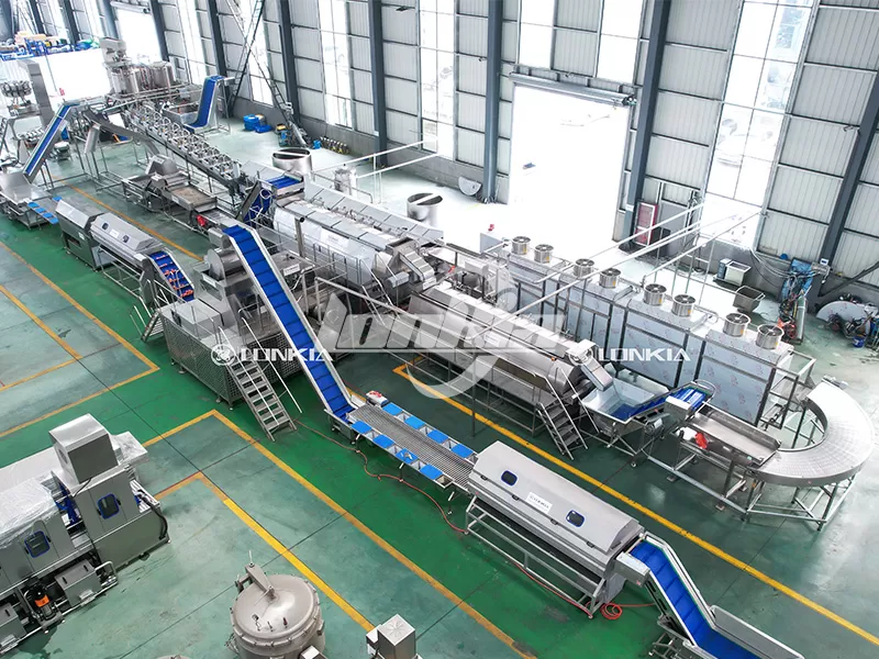 best French fries processing plant