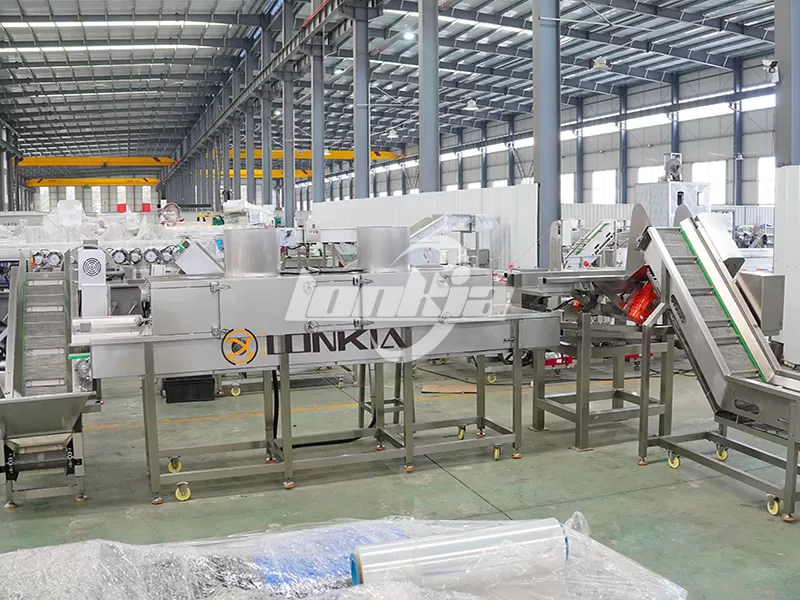 Complete Potato Chip Production Line Buying Guide for Beginners