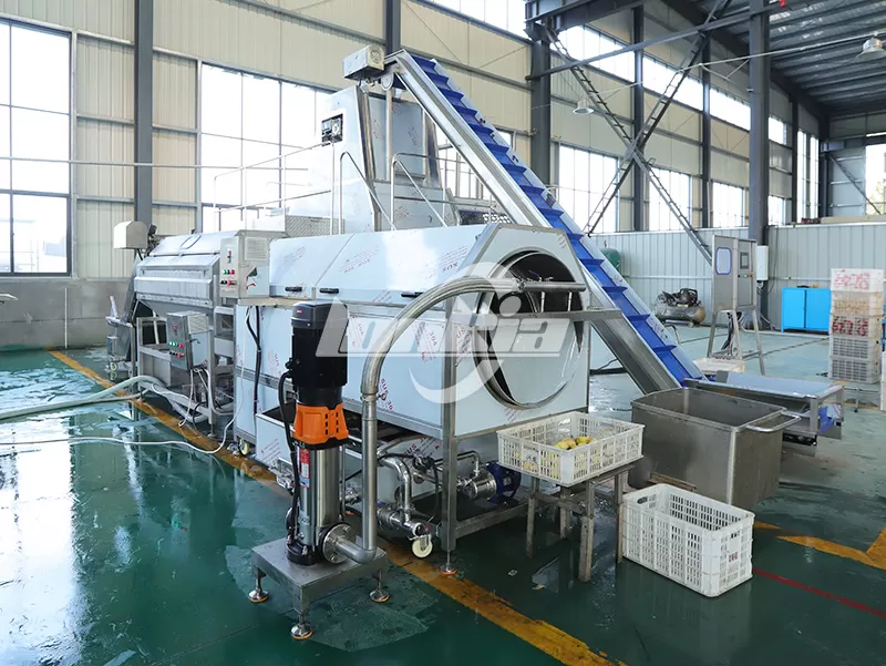 Potato Peeling Machine Selection Guide: Brush Peeler vs Steam Peeler