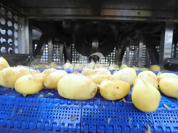 Advanced Steam Peeler Machine at Best Price
