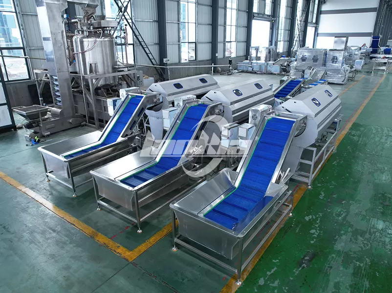 Potato Peeling Machine Selection Guide: Brush Peeler vs Steam Peeler