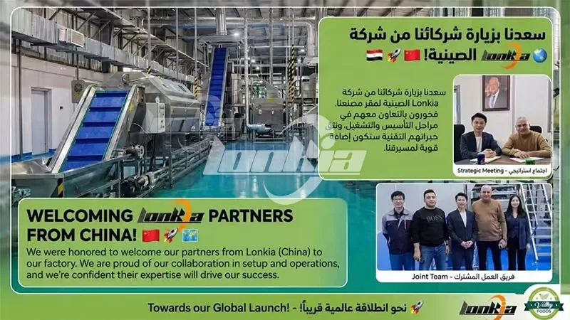 1.5T/H Frozen French Fries Production Line Running Successfully in Egypt