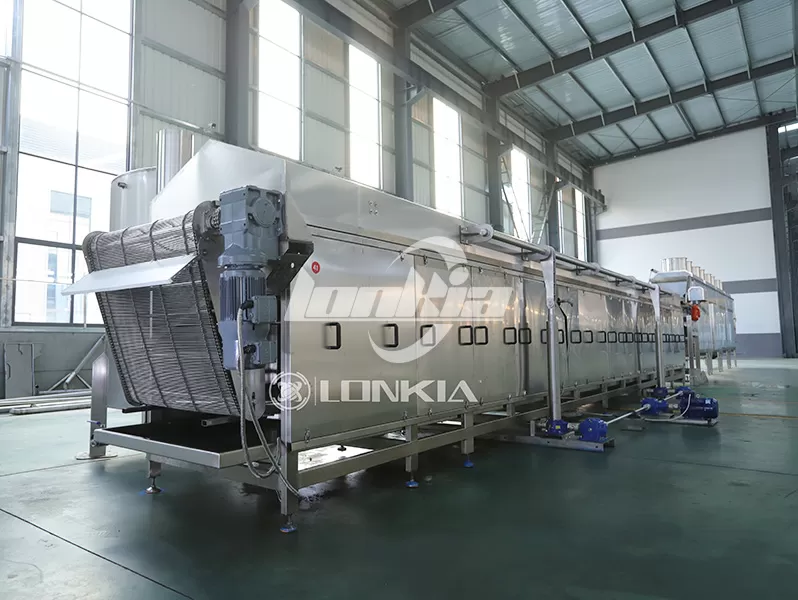 French fries fryer plant
