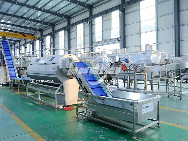 French Fries Maker Machine Price