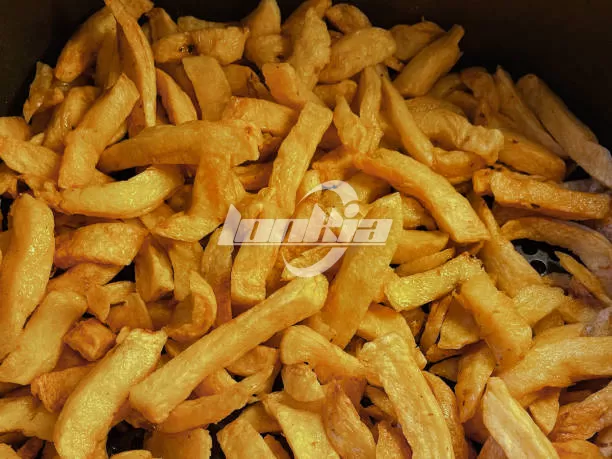 French Fry Fryer Buying Guide: What Every Fry Business Should Know?