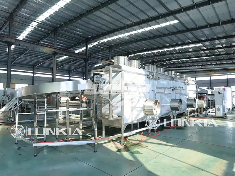 Complete Frozen French Fries Making Machine Buying Guide for New Factories