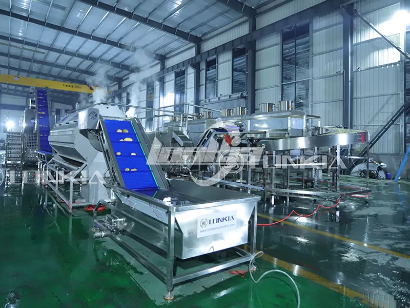 French fries processing plant in action