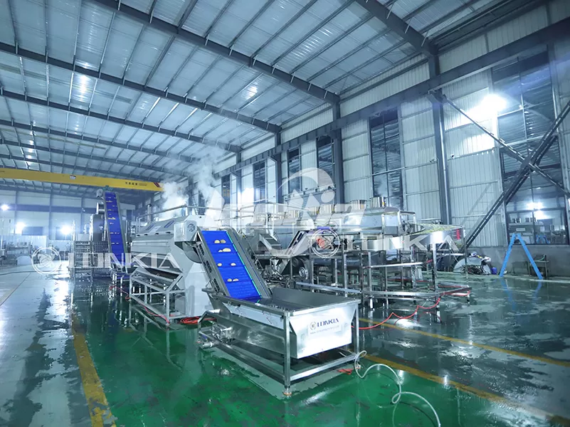 How Much Space Does a French Fries Processing Plant Need?