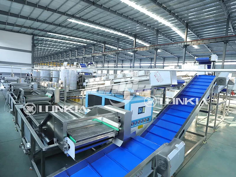 French Fries Processing Plant Price