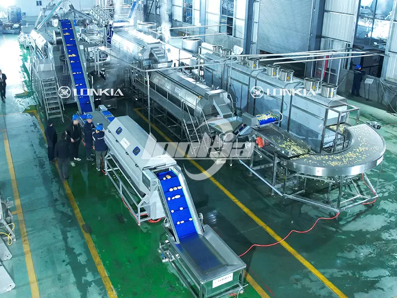 French fry production line