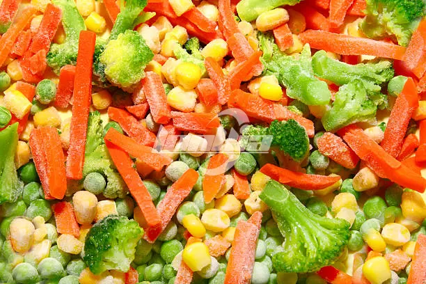 What Is a Frozen Vegetables Processing Plant and How It Works?