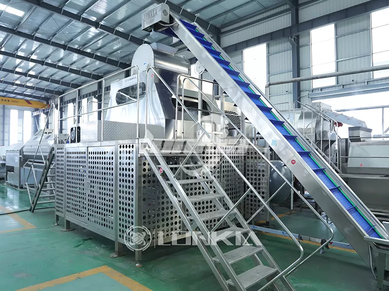 Steam Peeler in Plant