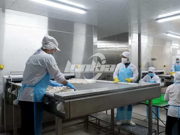 Frozen Vegetable Processing Plant