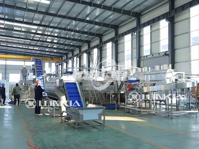 Small-Scale French Fries Processing Plant Options: Semi-Automatic to Fully Automated