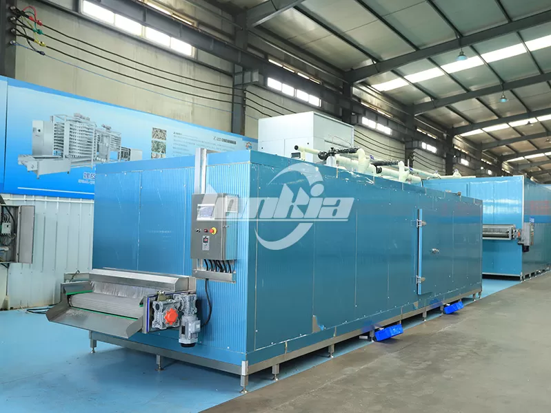 IQF Tunnel Freezer