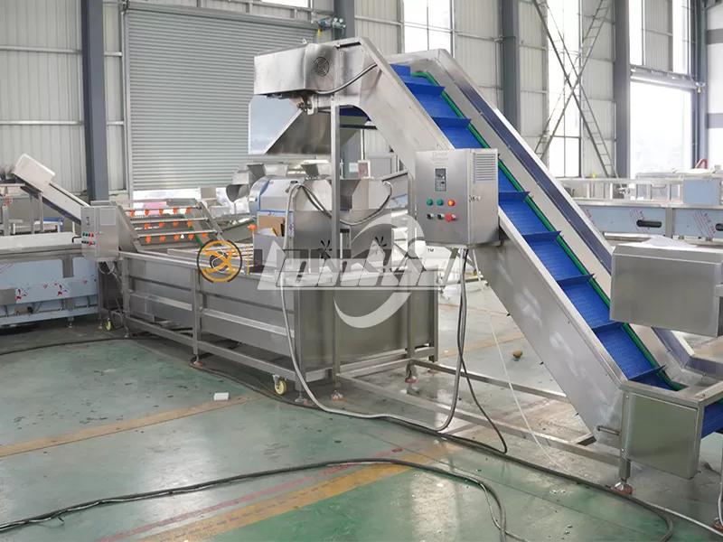 Scaling Up Your Potato Chips Processing Line: From 100 kg/h to 1 t/h