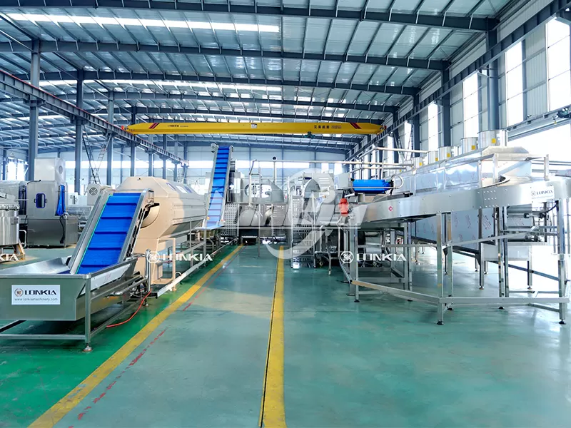 Custom French Fries Production Line Price: What Affects It?