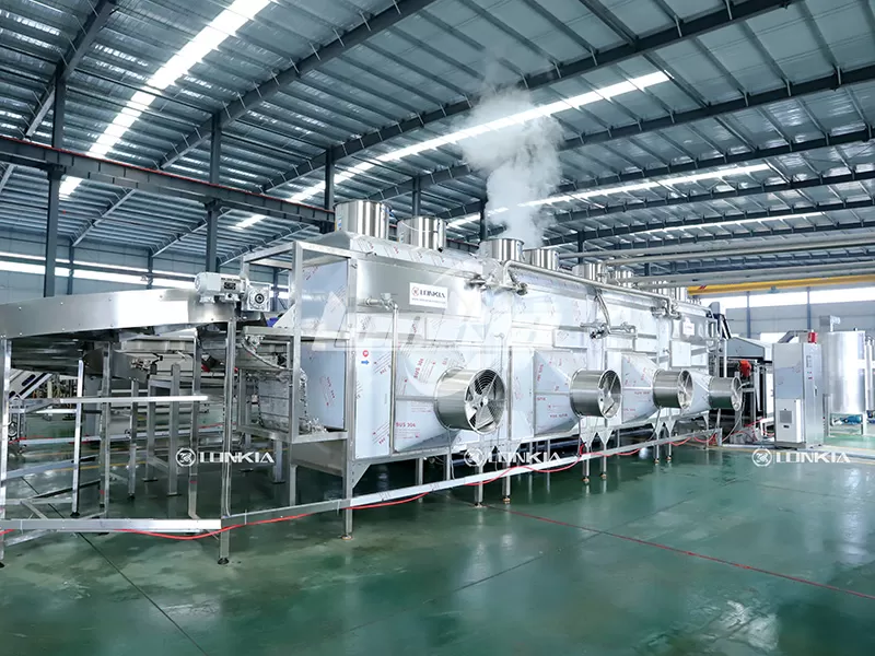 How to Expand a Frozen French Fries Production Line as Production Demand Grows?