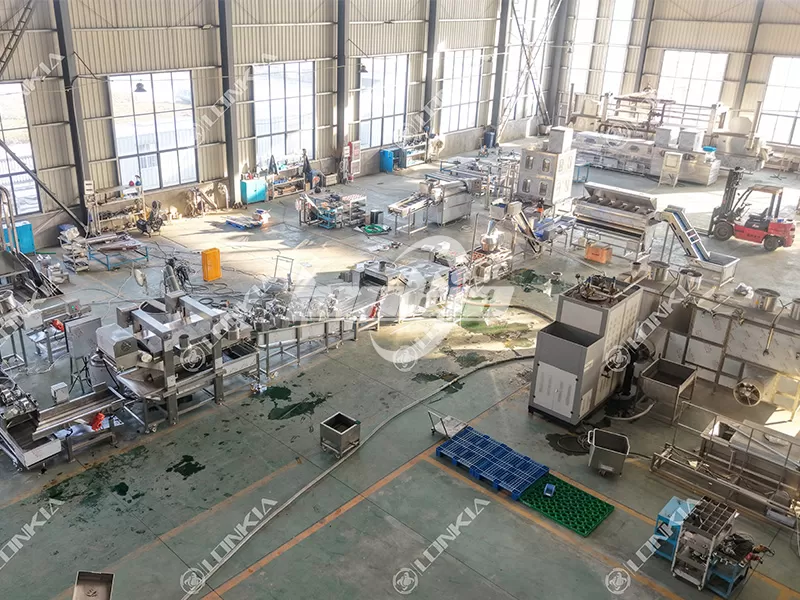 How to Expand a Frozen French Fries Production Line as Production Demand Grows?