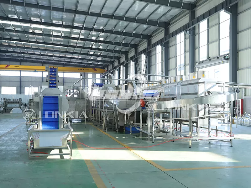 lonkia frozen potato production line for sale