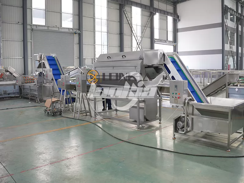 Potato Chips Processing Line: Installation and After-Sales Support Guide