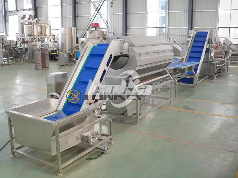 How to Establish an Efficient Potato Chips Making Plant?