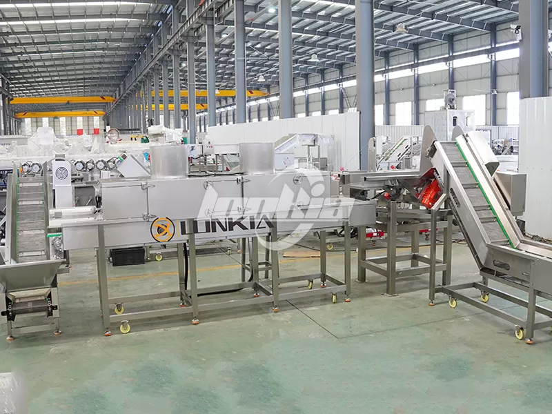 lonkia Potato Chips Manufacturing Plant