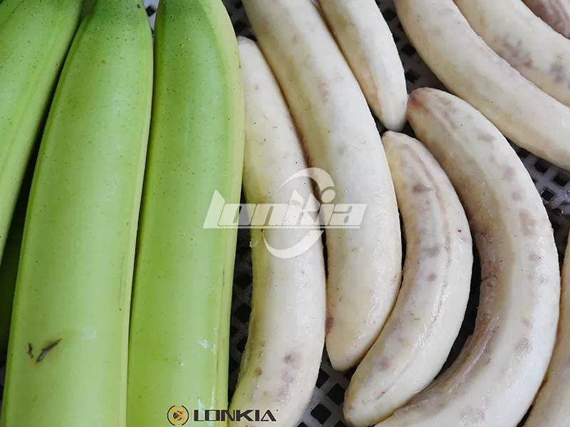 lonkia plantain fryer