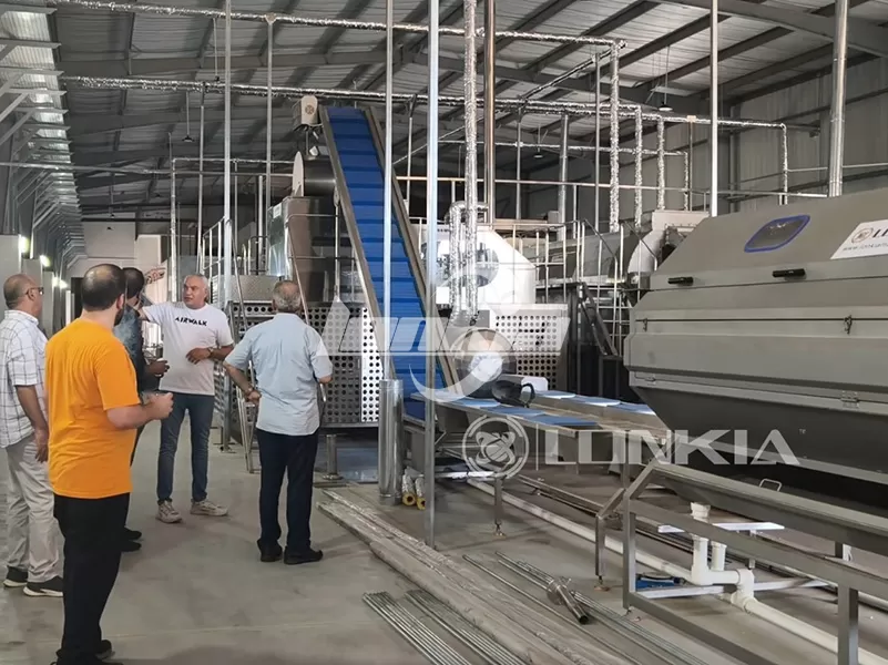 LONKIA 1.5 Tons/Hour French Fries Processing Line Helps Egyptian Clients Boost Production Efficiency
