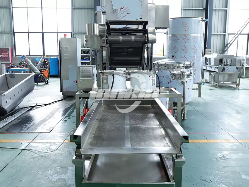 Onion Frying Machine