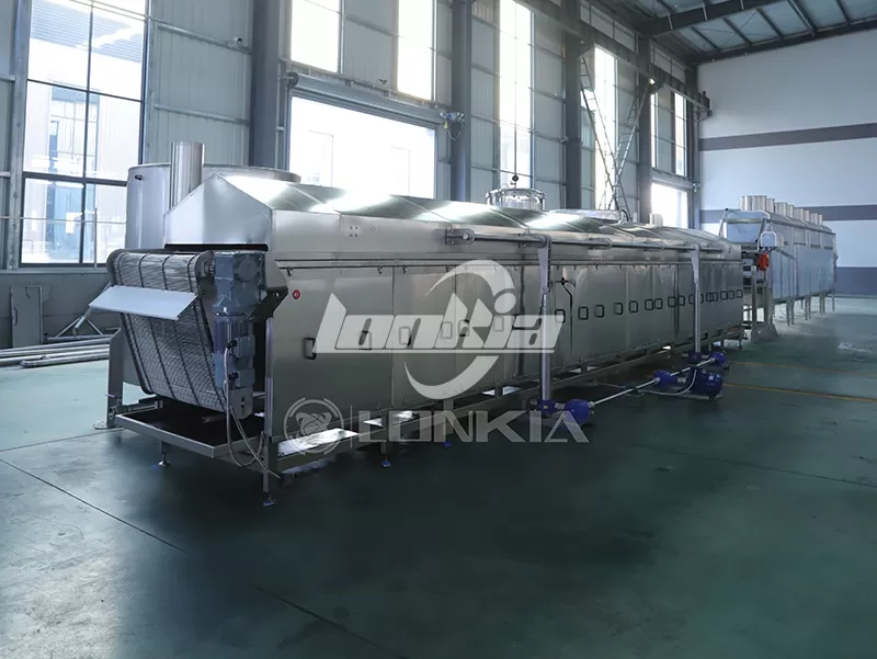 Peanut Frying Machine Price Guide: What Affects the Cost?