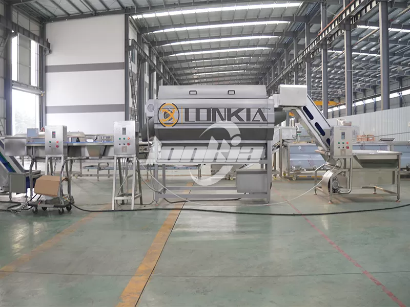 potato chips production line price
