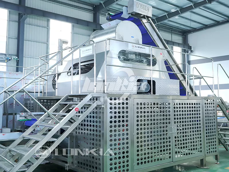 Choosing the Right Potato Steam Peeler for Your Production Capacity