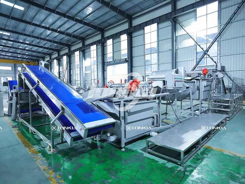 Salad washing processing line
