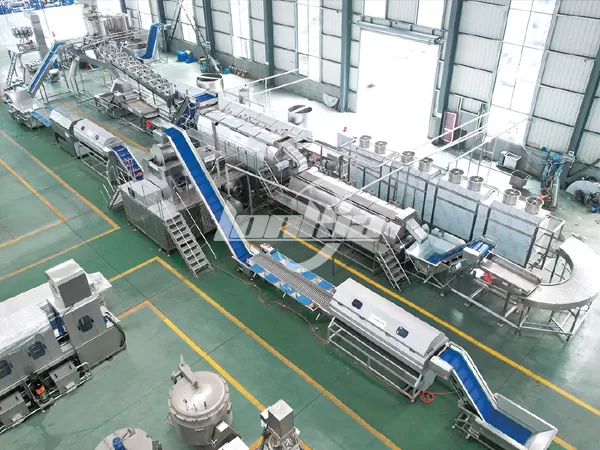 French Fries Production Line