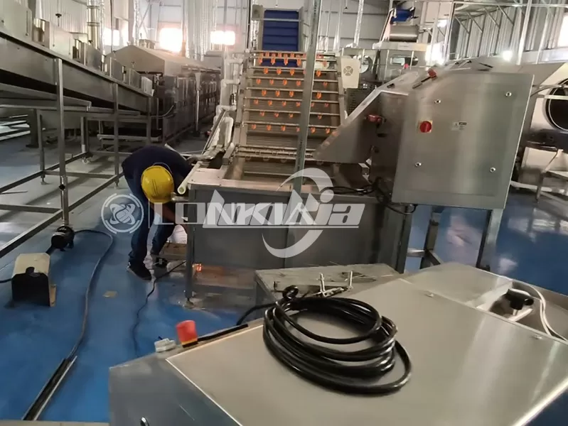 Egyptian Customer Invests in LONKIA 1.5 Tons/H French Fries Processing Line
