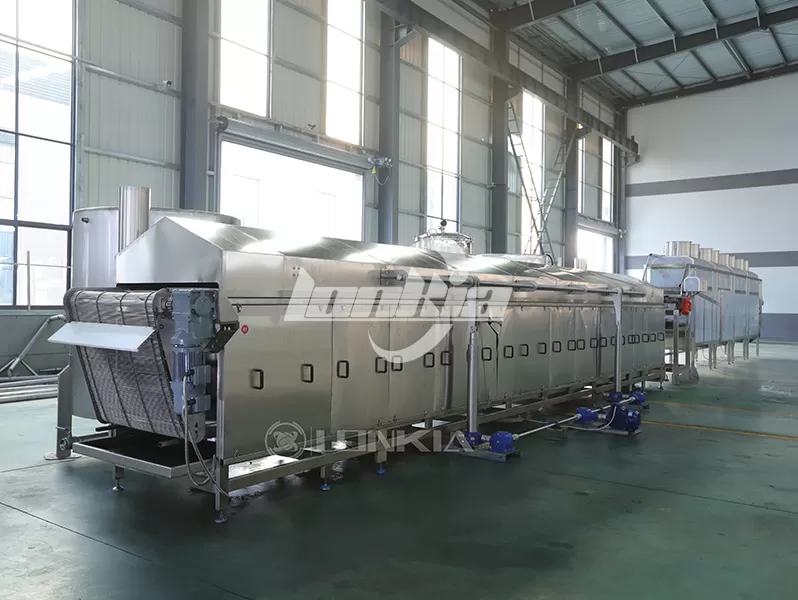 Potato Fryer Machine